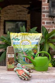Starter Seed Kit
